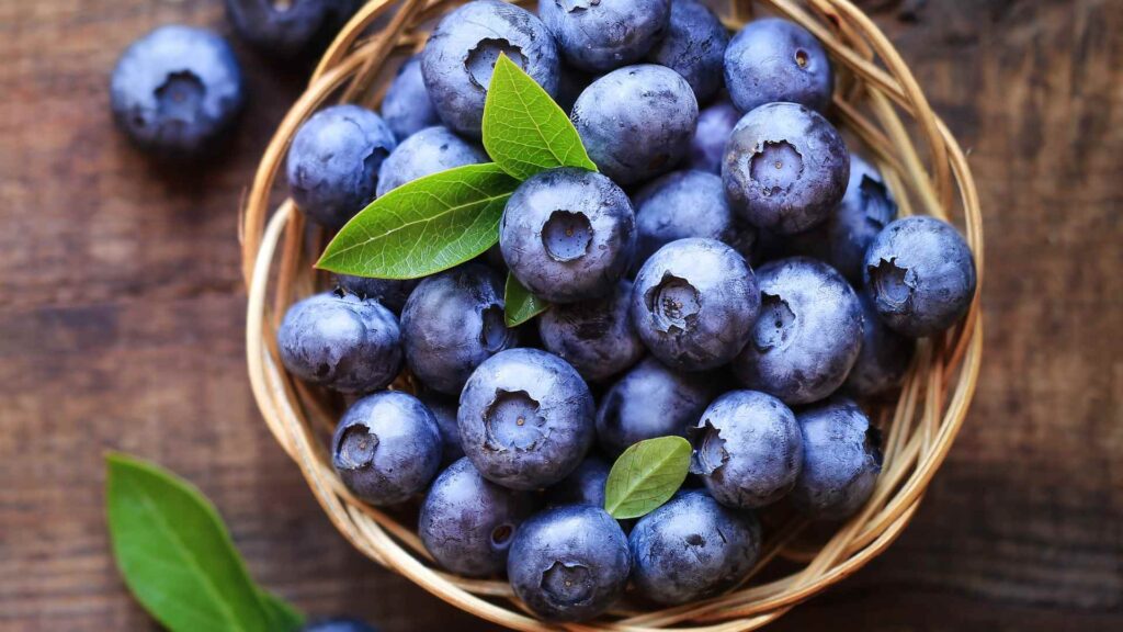 Can Dogs Have Blueberries?