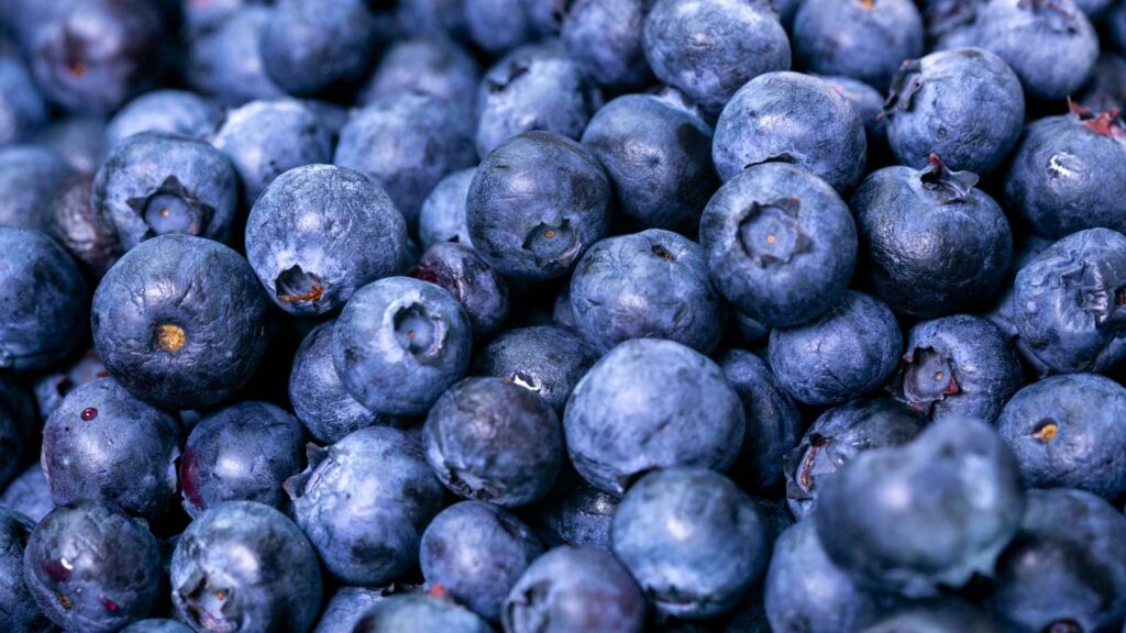 Can Dogs Have Blueberries?