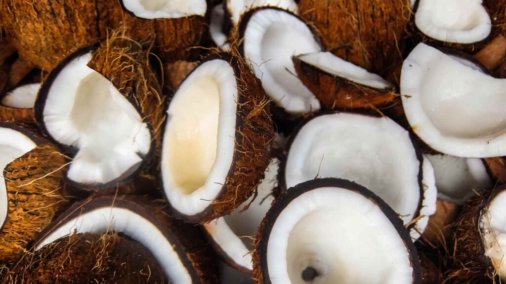 Coconut