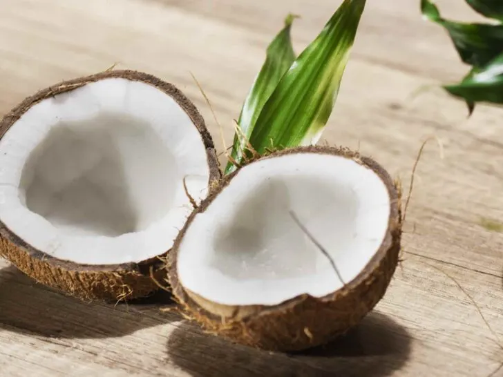Coconut