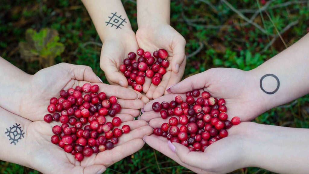 Cranberries