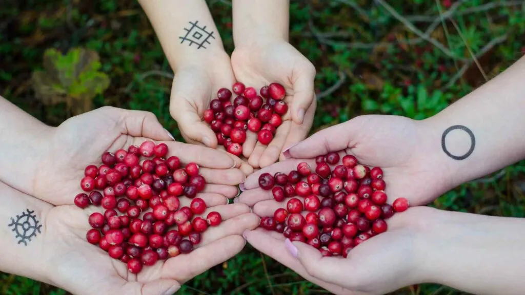 Cranberries