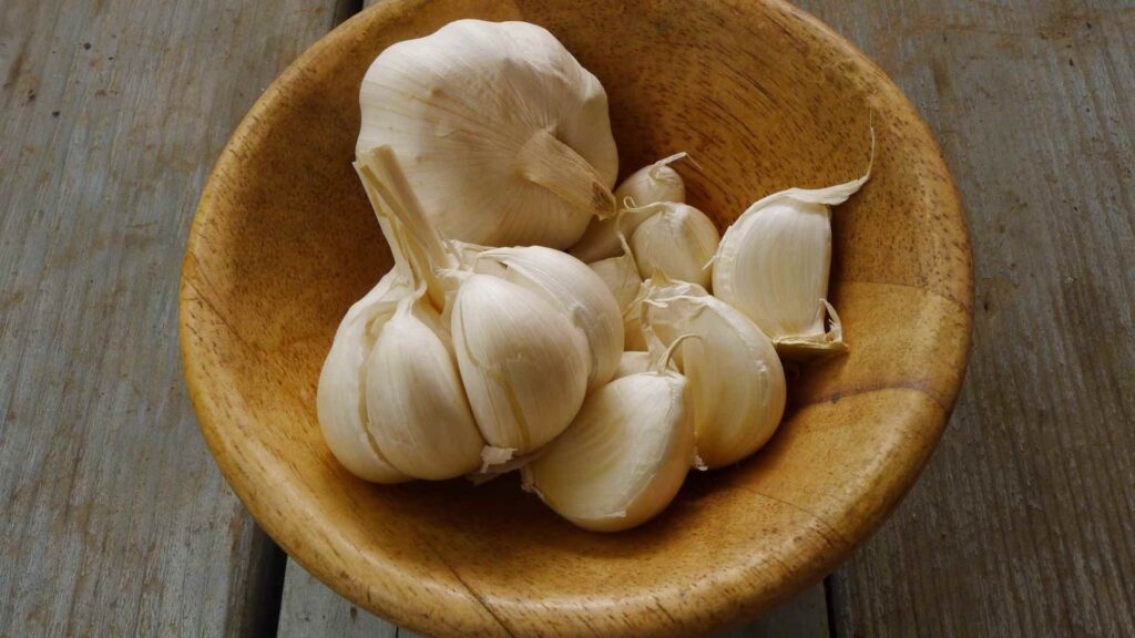 garlic