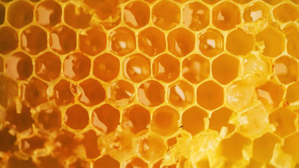 Honey