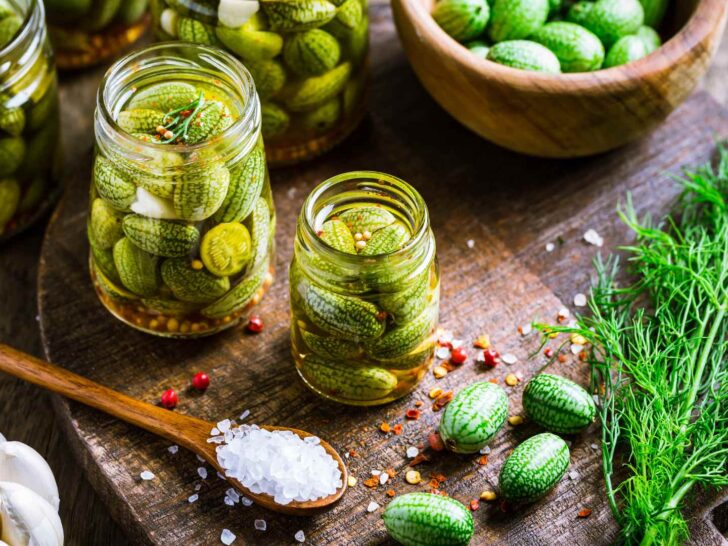 Can Dogs Eat Pickles? Brine, Salt, and Ingredient Risks