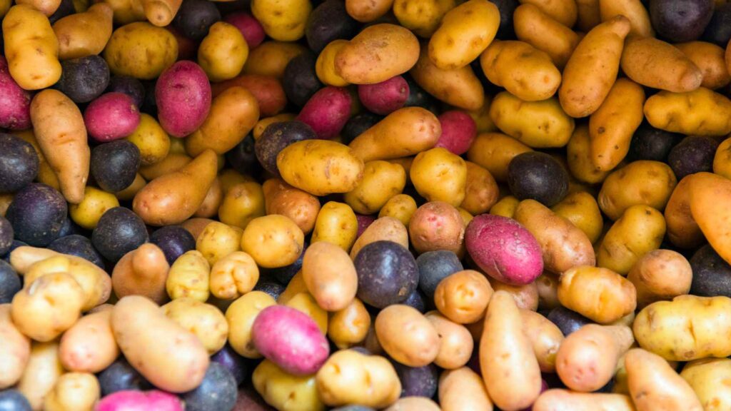 Potatoes
