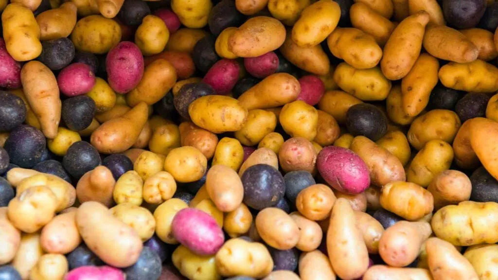 Potatoes