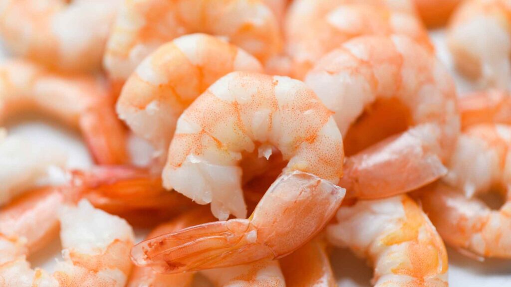 Shrimp