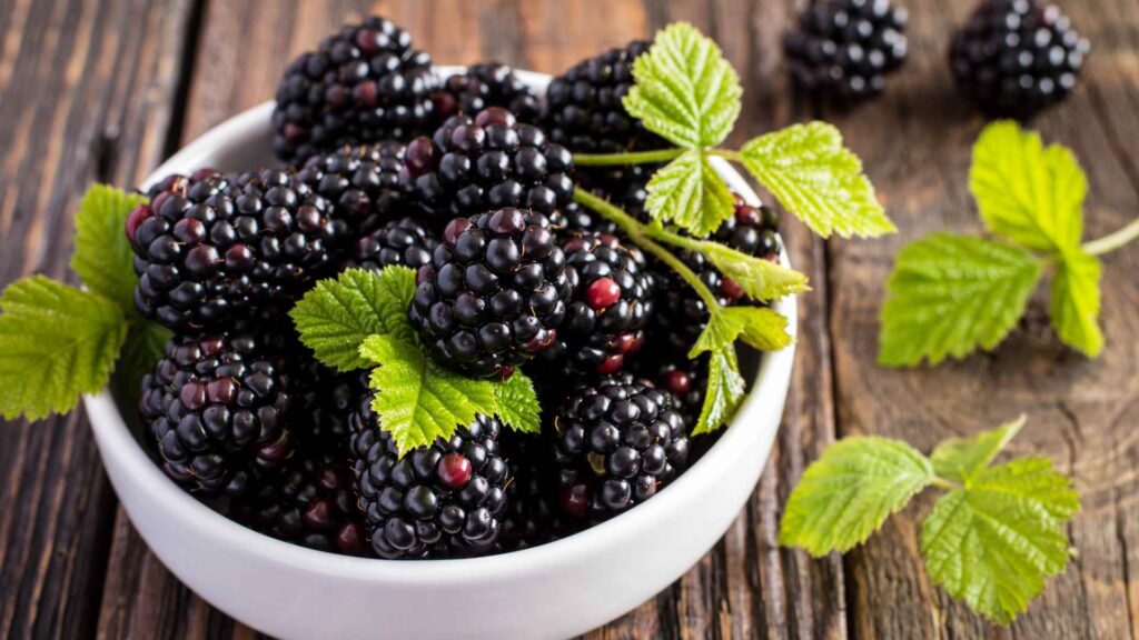 blackberries