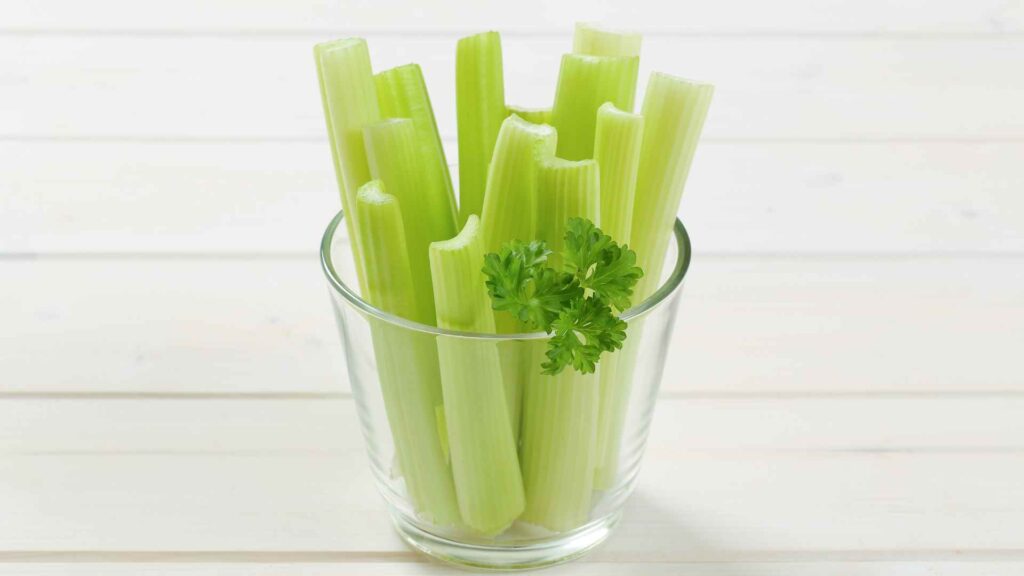 Can Dogs Have celery?