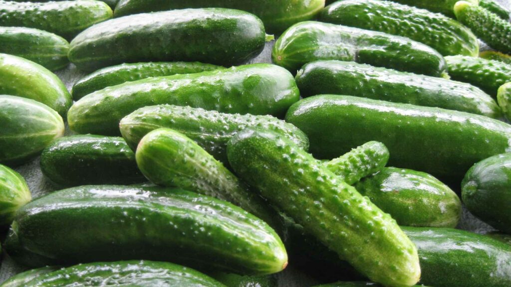 cucumbers