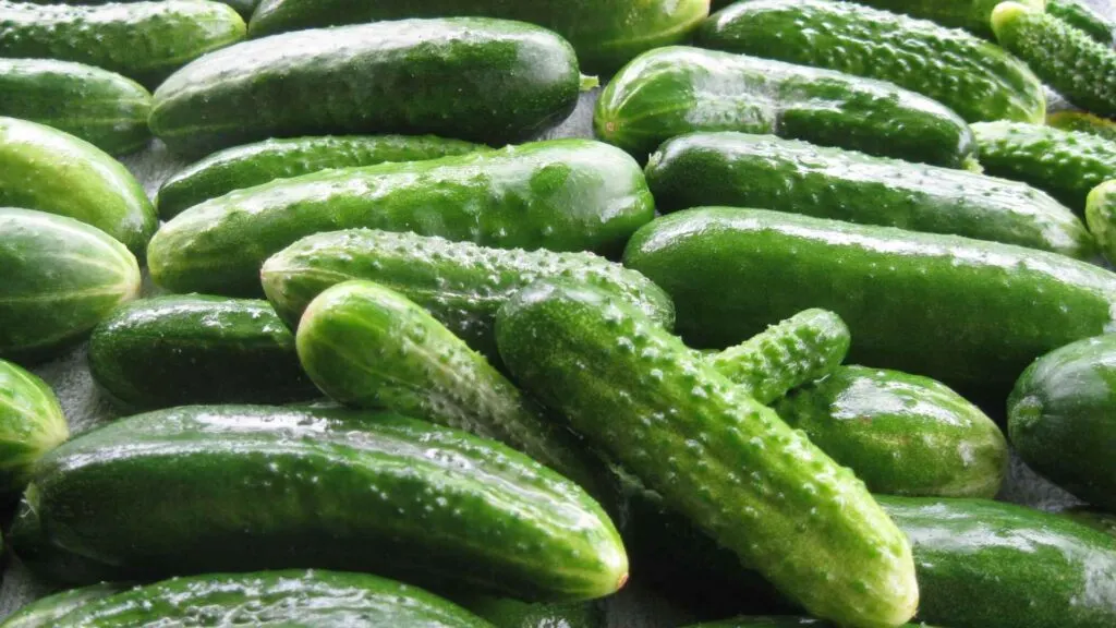 cucumbers