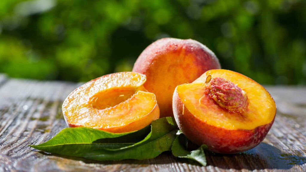 Can dogs have peaches