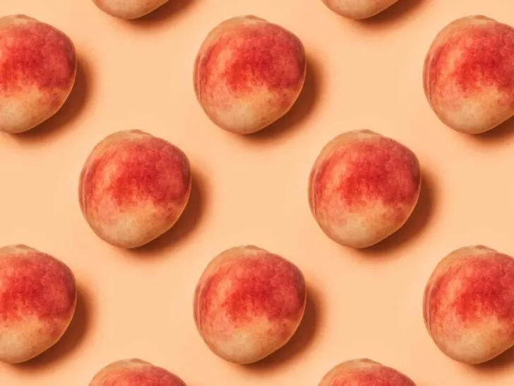 Can dogs have peaches