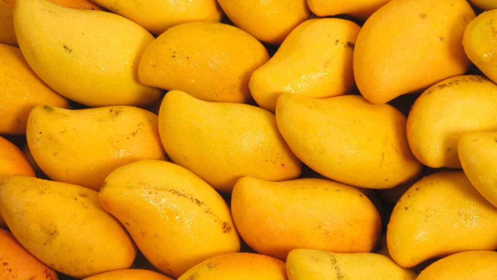 mango