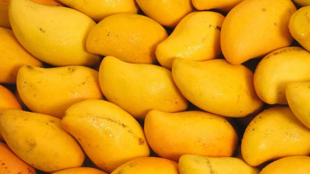 mango