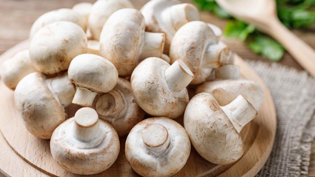 mushroom