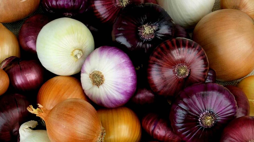 onions