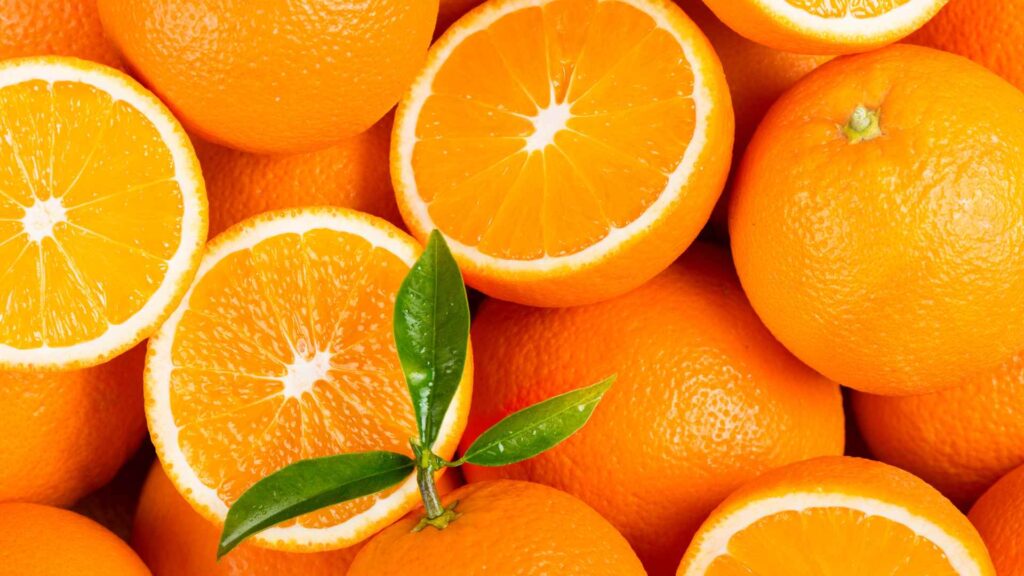 Can Dogs Have oranges?