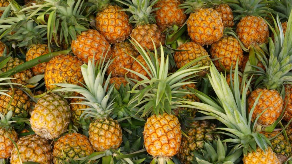pineapple