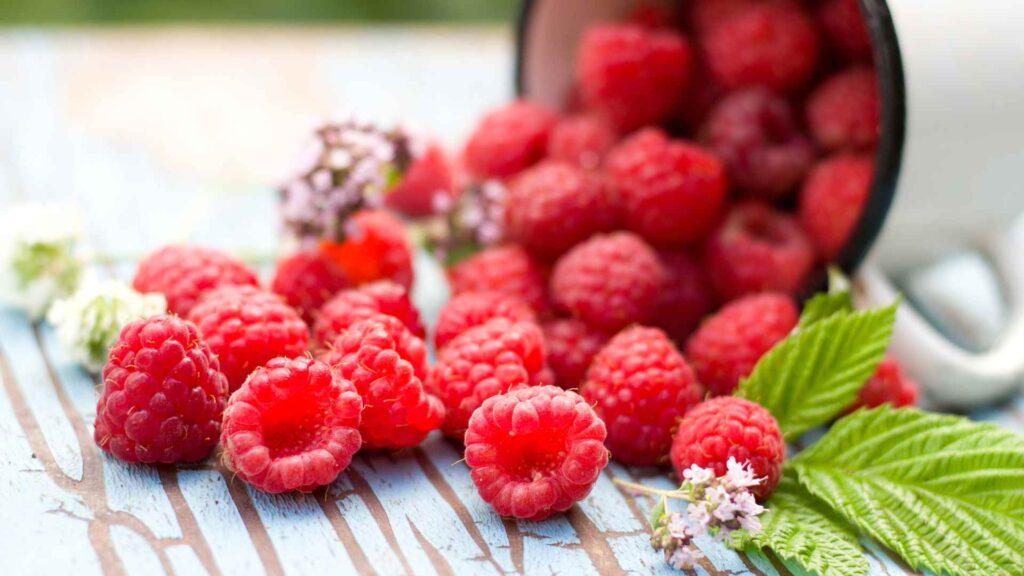 raspberries
