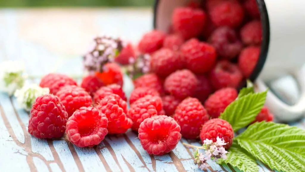 raspberries