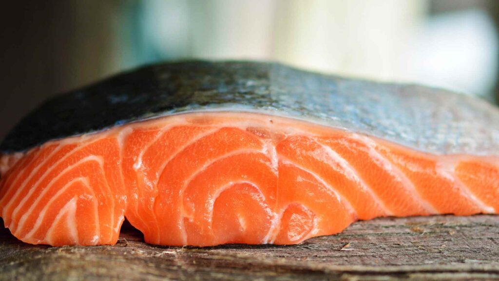 salmon