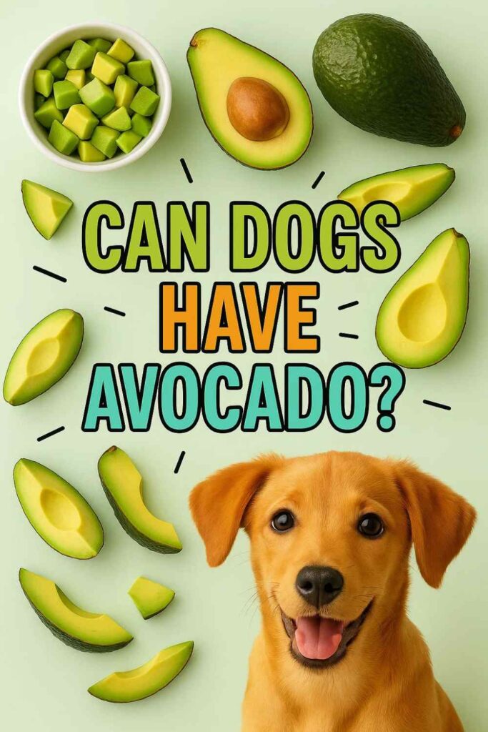 Can dogs have avocado pin