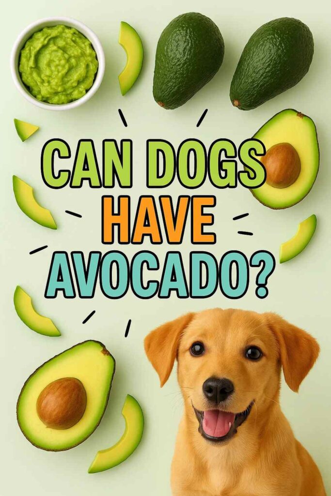 Can dogs have avocado pin