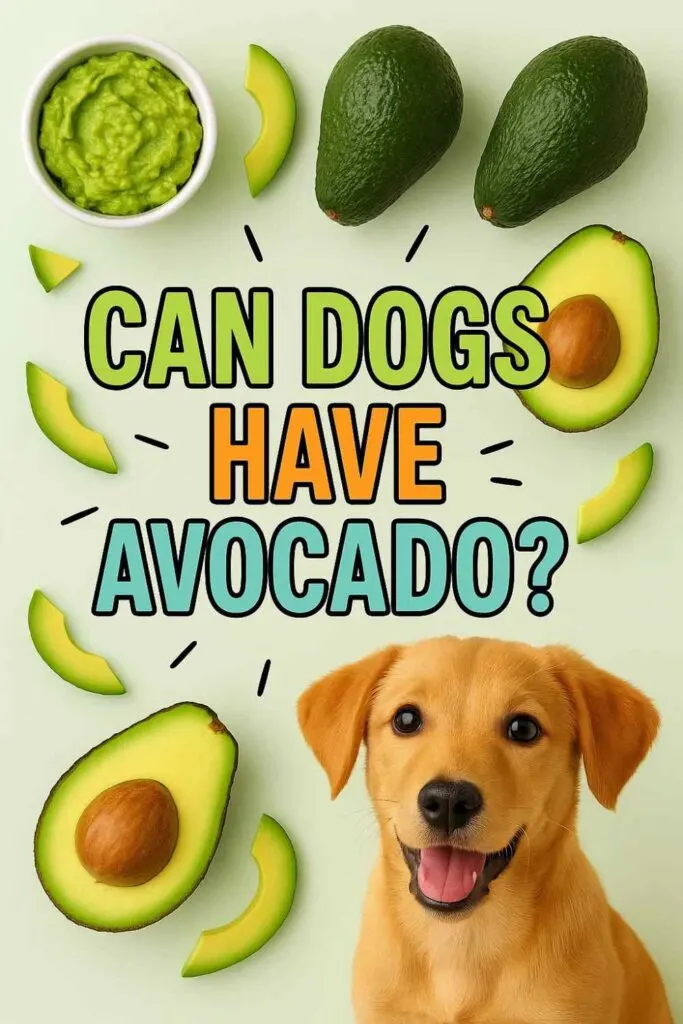 Can dogs have avocado pin