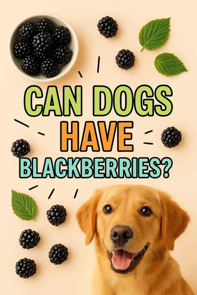 Can dogs have blackberries pin