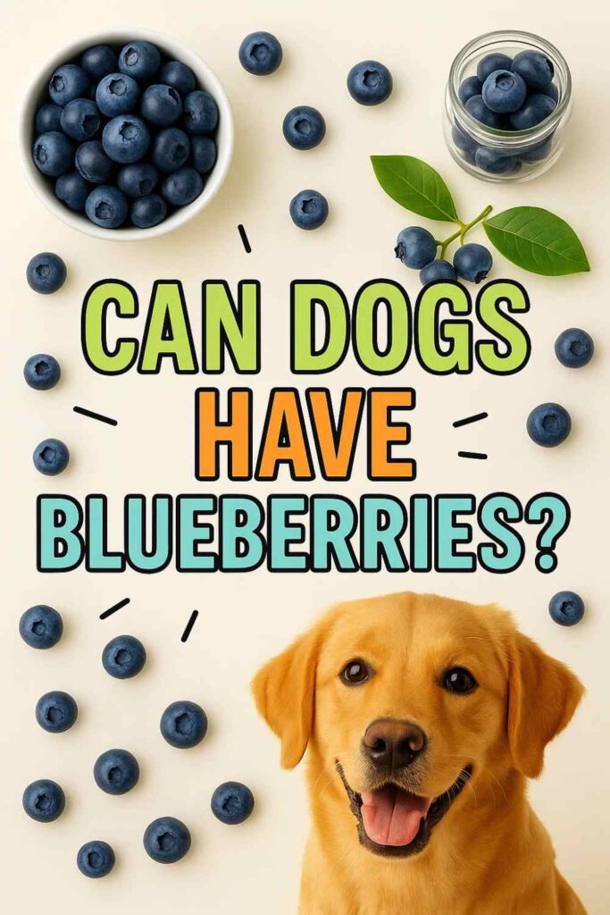 Can dogs have blueberries pin