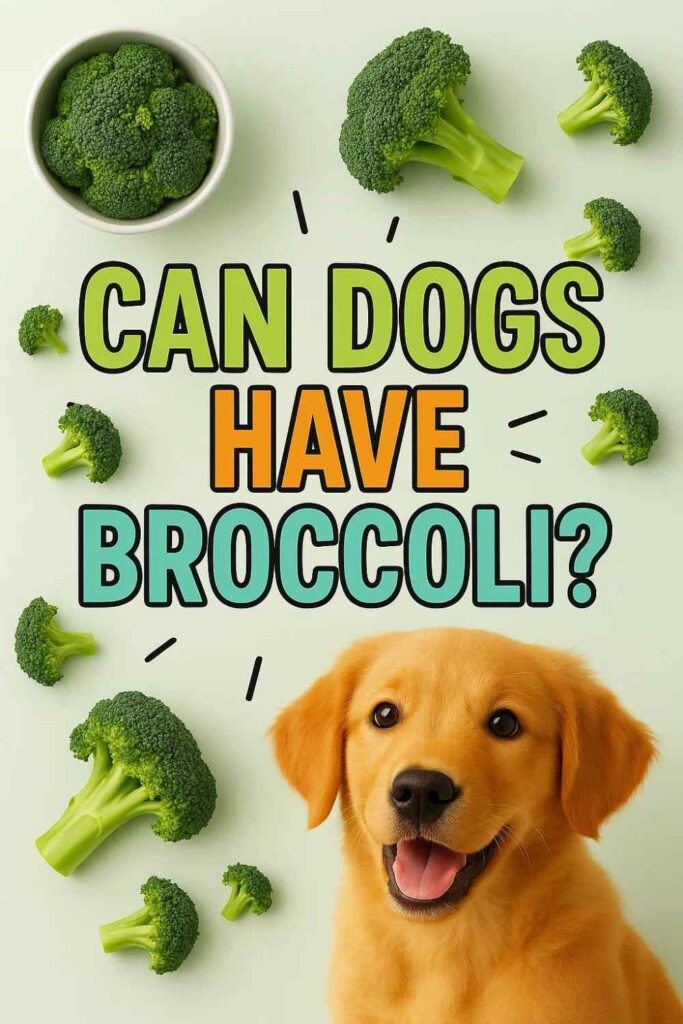 Can dogs have broccoli pin