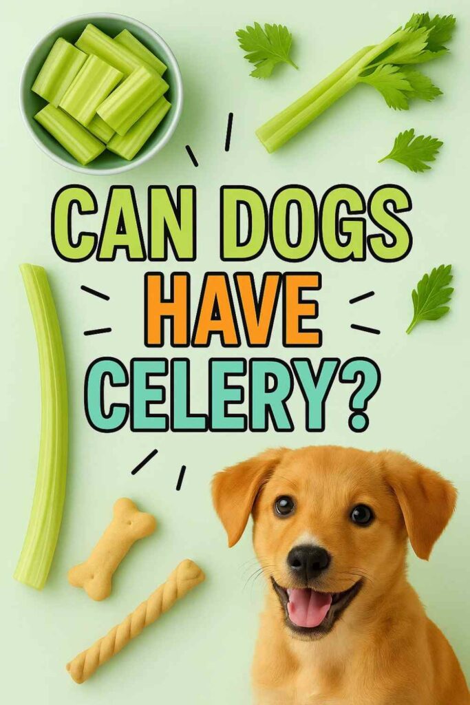 Can dogs have celery pin