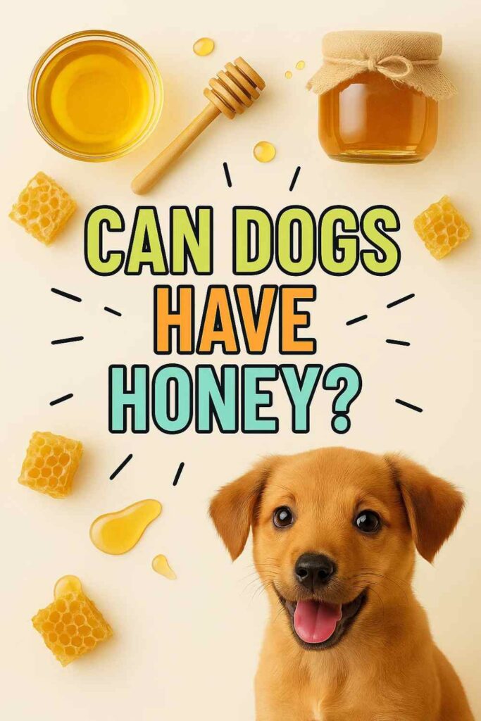 Can dogs have honey pin