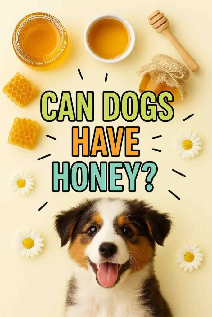 Can dogs have honey pin