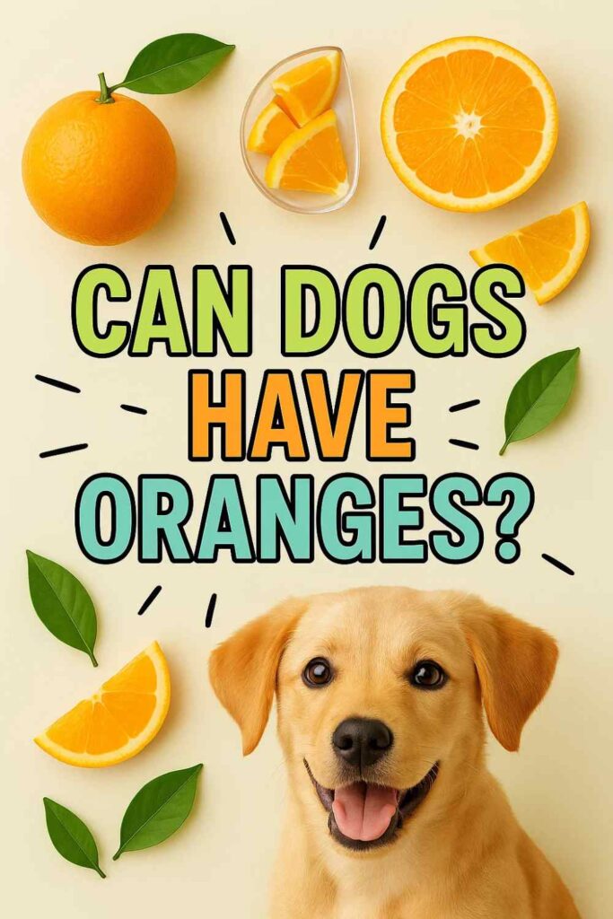 Can dogs have oranges pin