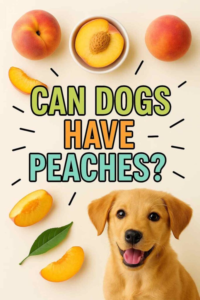 Can dogs have peaches pin