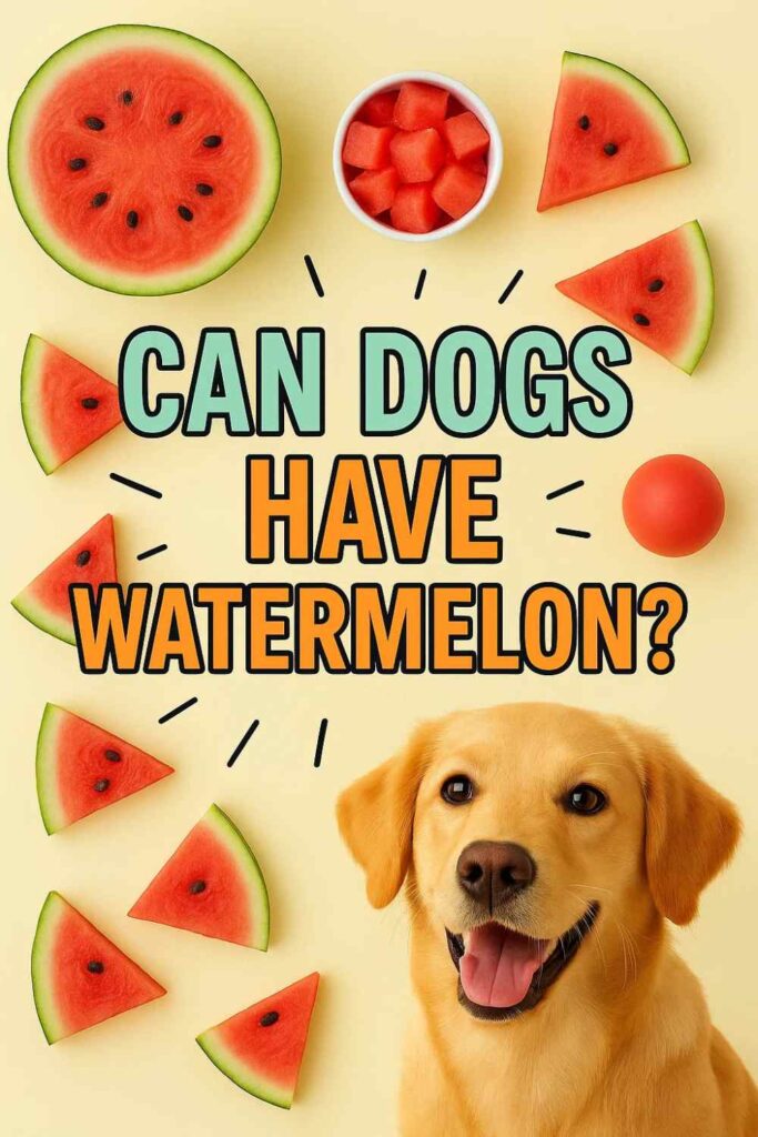 Can dogs have watermelon pin-2