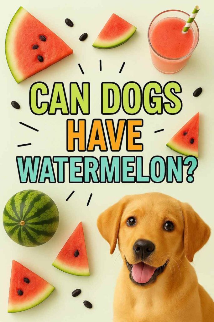 Can dogs have watermelon pin