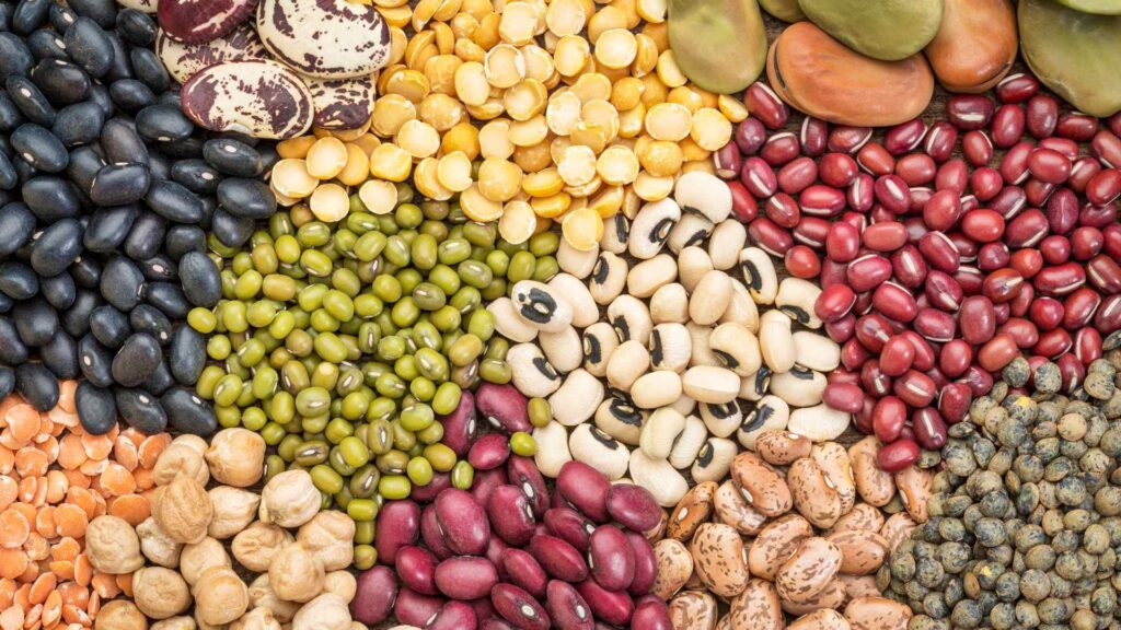 Beans