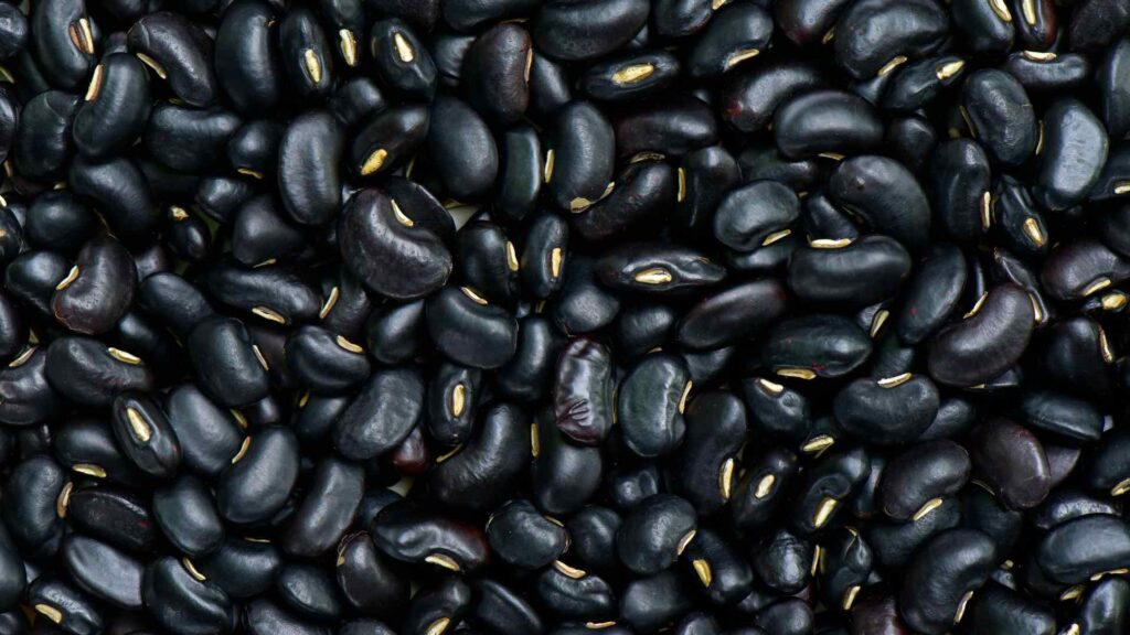 Black Beans