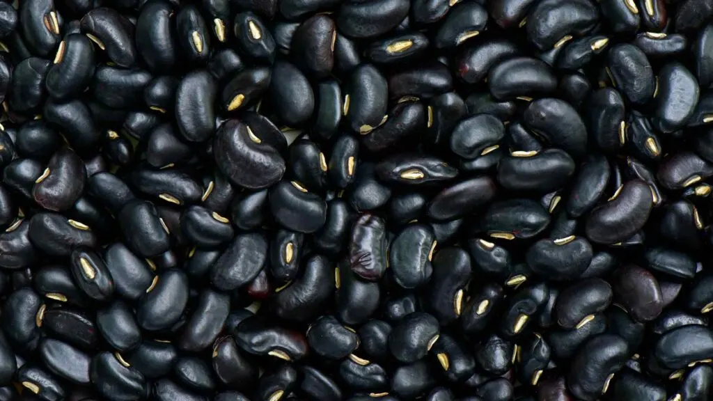 Black Beans