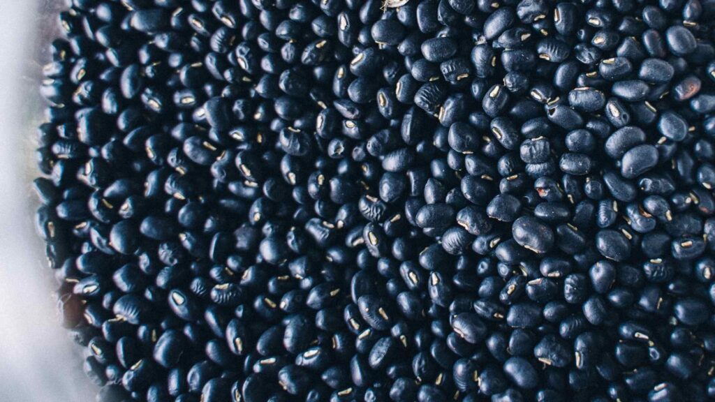 Black Beans