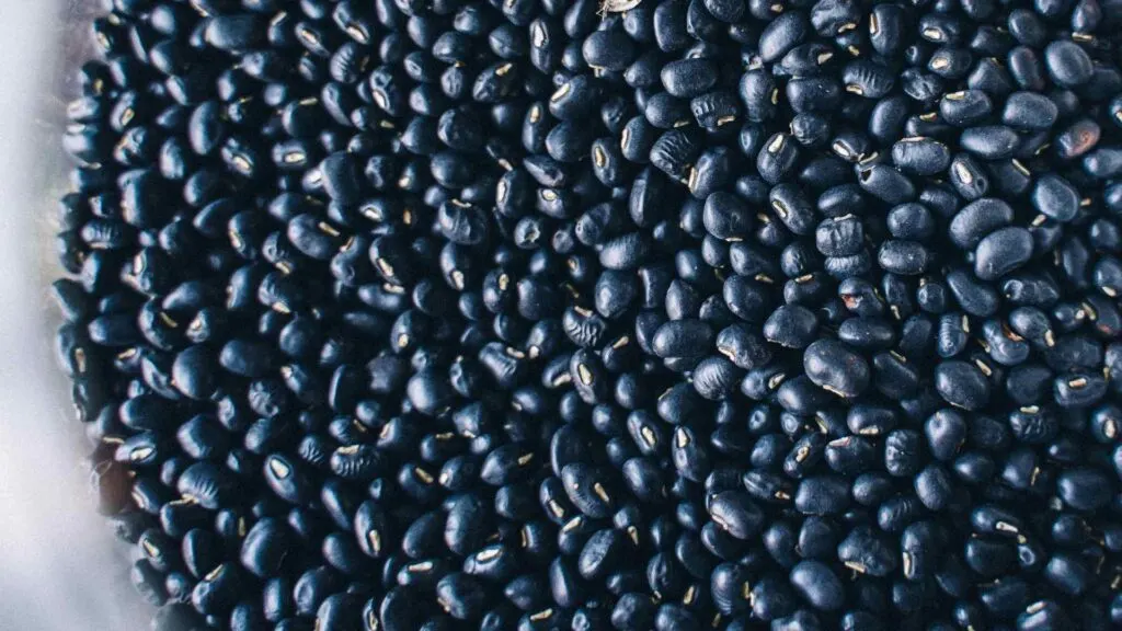 Black Beans