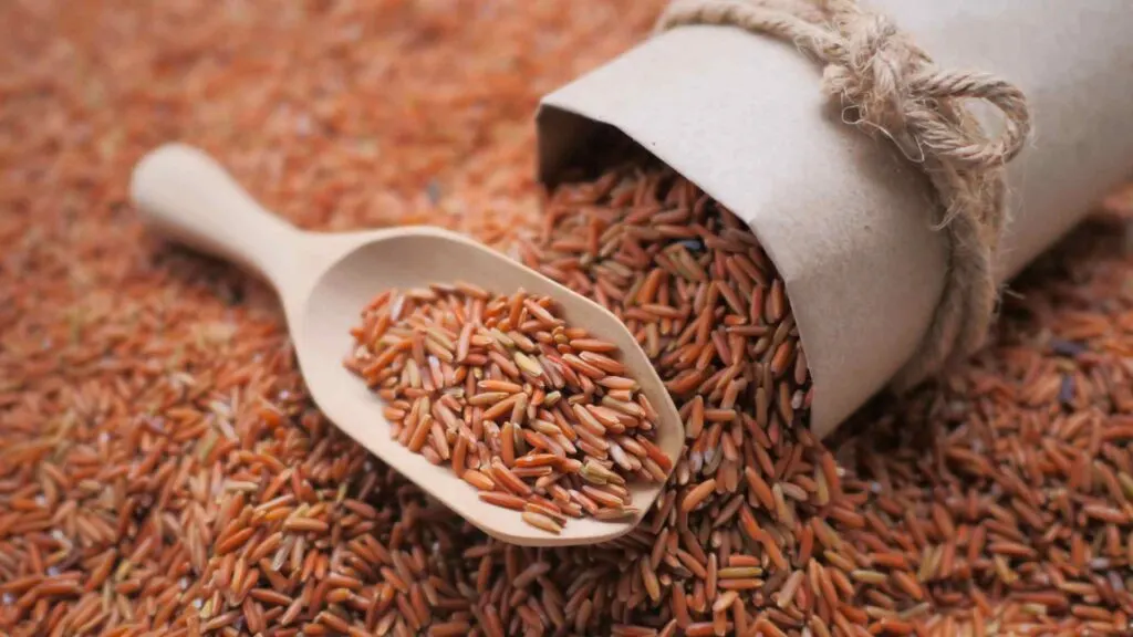 Brown Rice