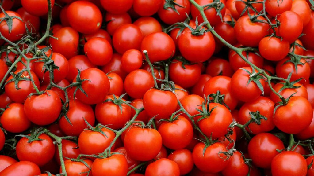 Cherry Tomatoes