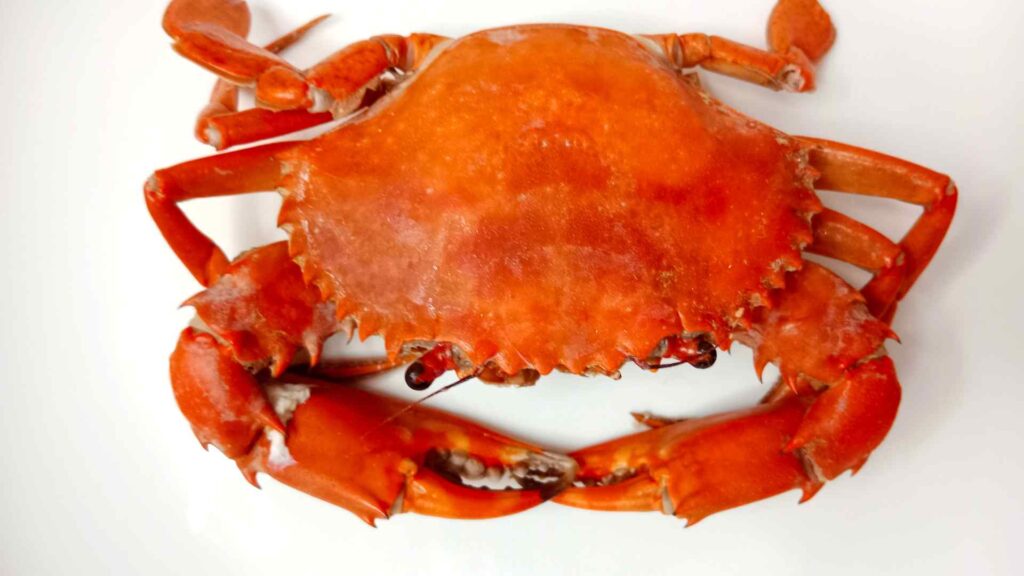 Crab