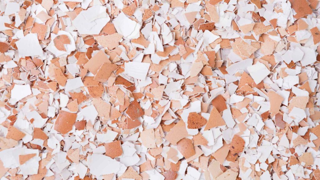 Eggshells