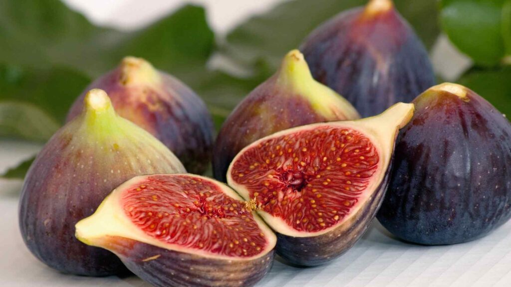 Figs